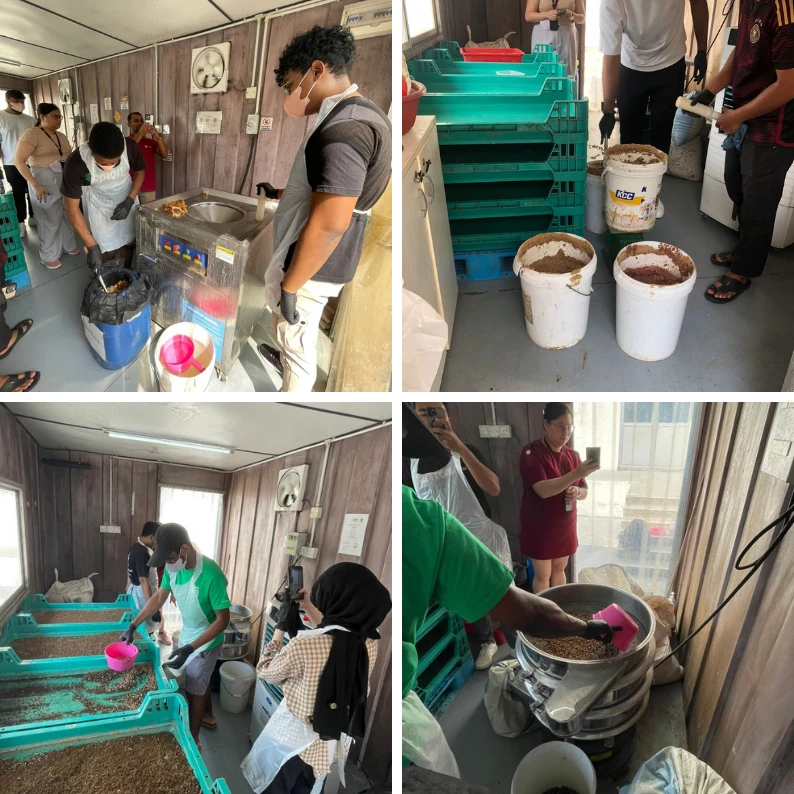 REGrow activity image 1